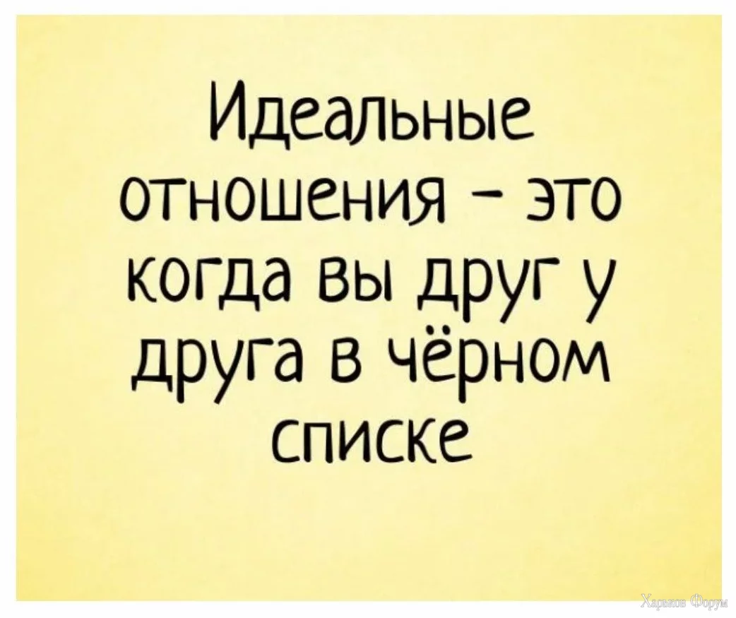 1717356928653.webp