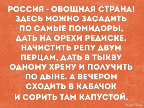 1717357455458.webp