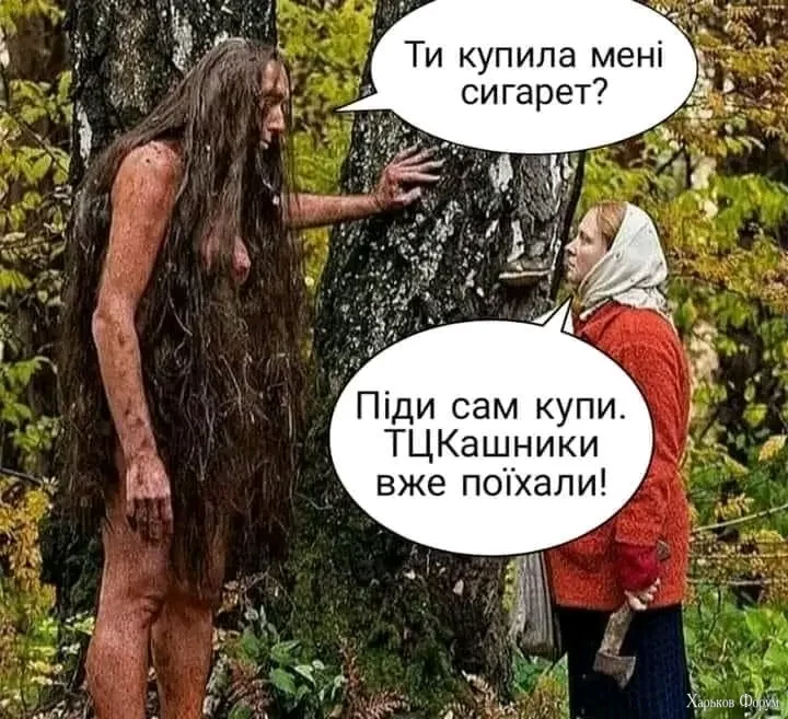 1717423302396.webp