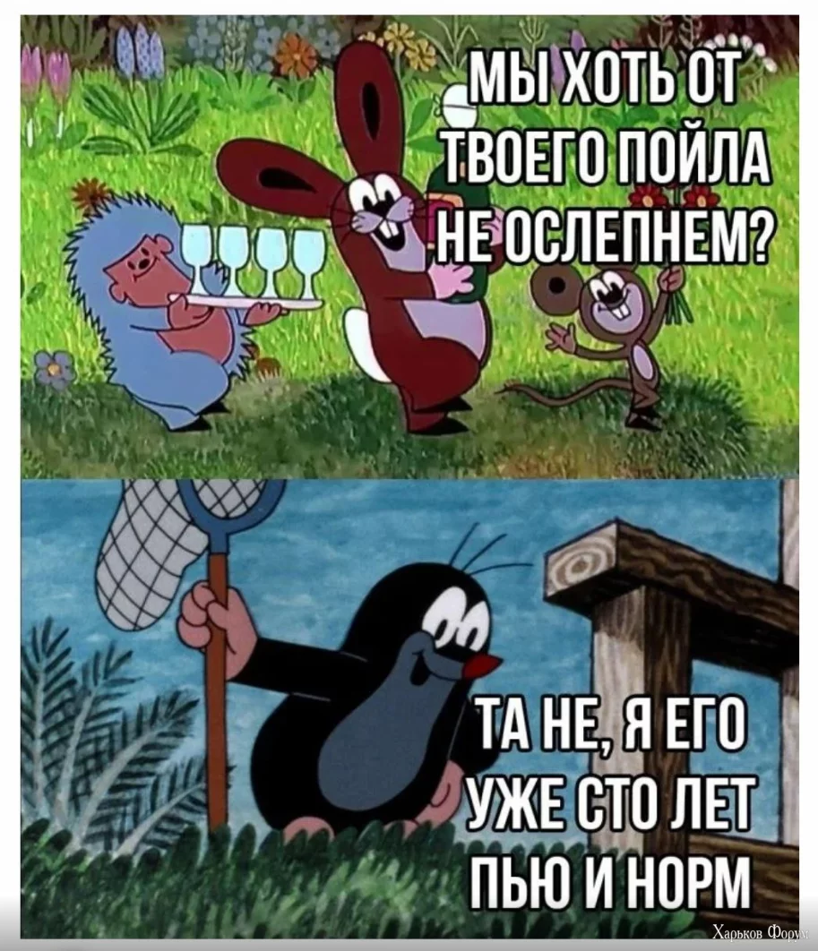 1717436375557.webp