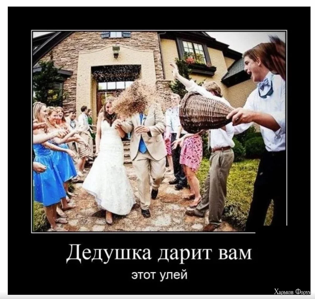 1717524185963.webp