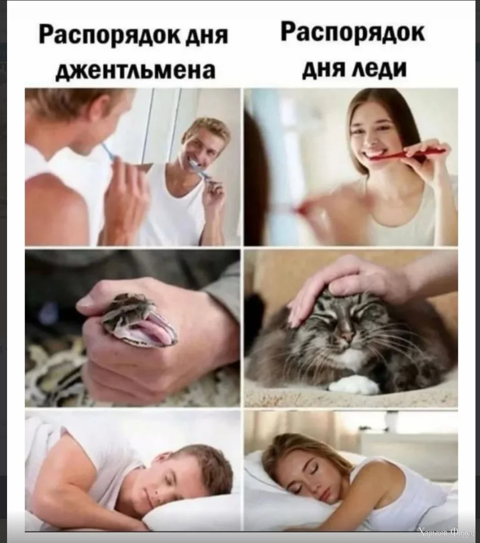 1717589022662.webp