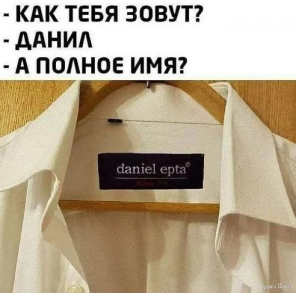 1717624455768.webp