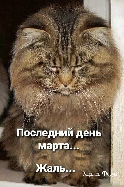 17177779840396085e52cb1.webp