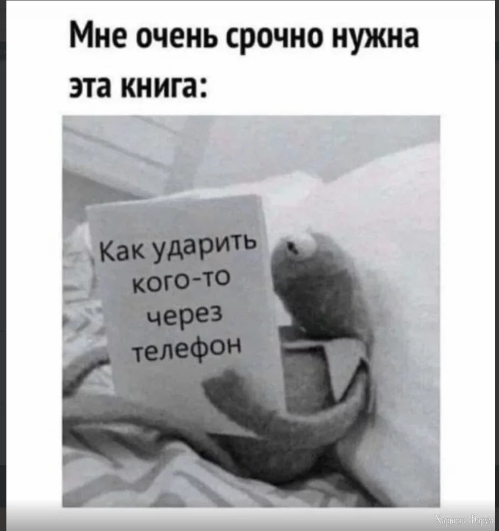 1718108751710.webp