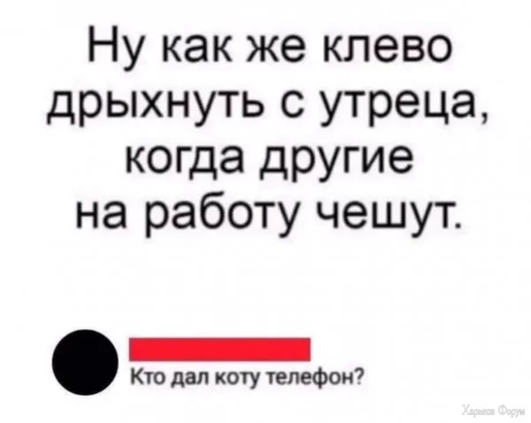 1718143166241.webp