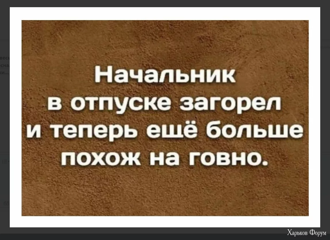 1718216679287.webp