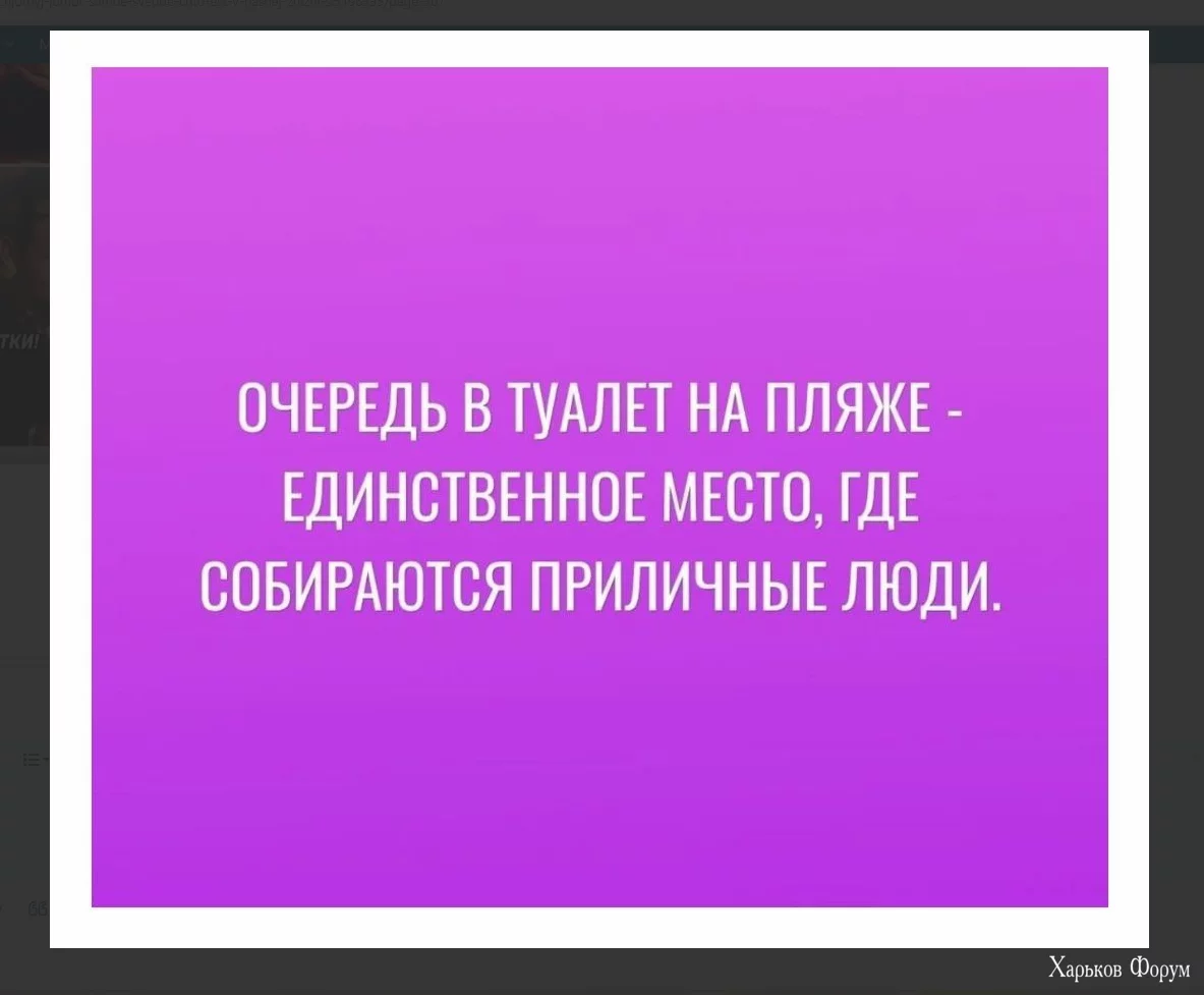 1718277663269.webp