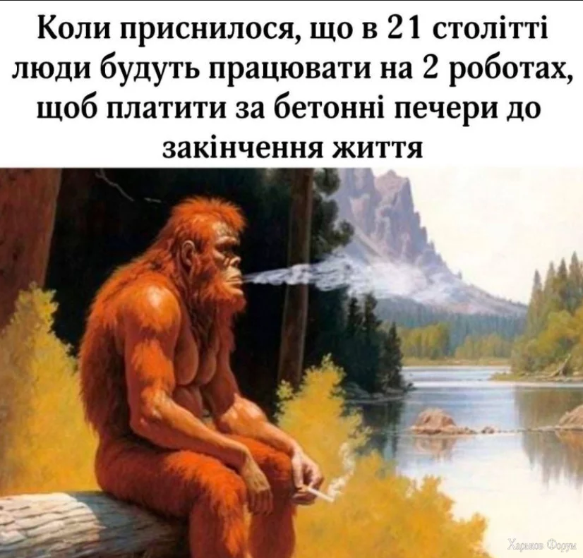 1718367840130.webp