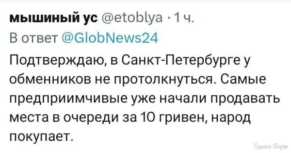 1718405019380.webp