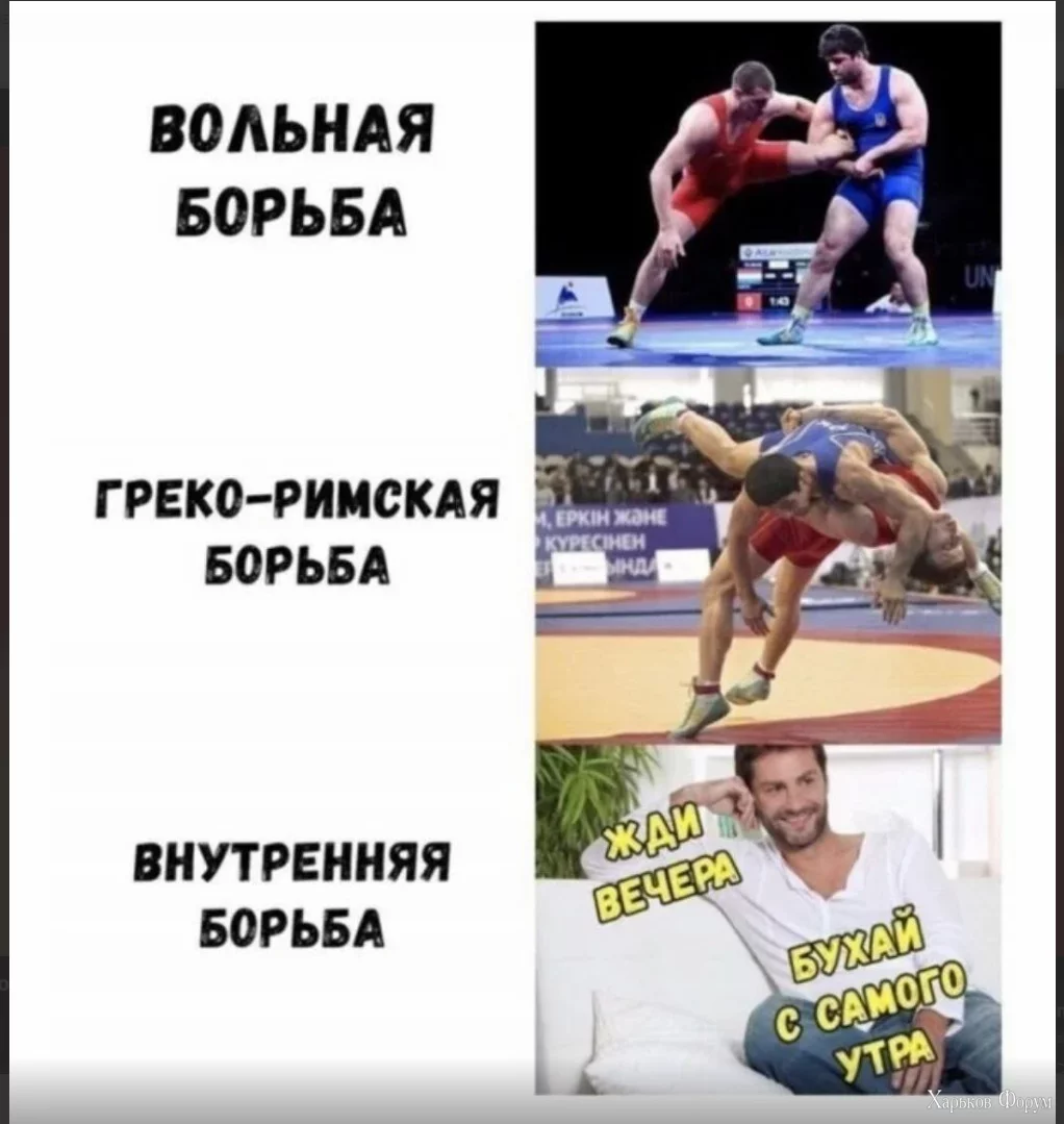 1718533931723.webp