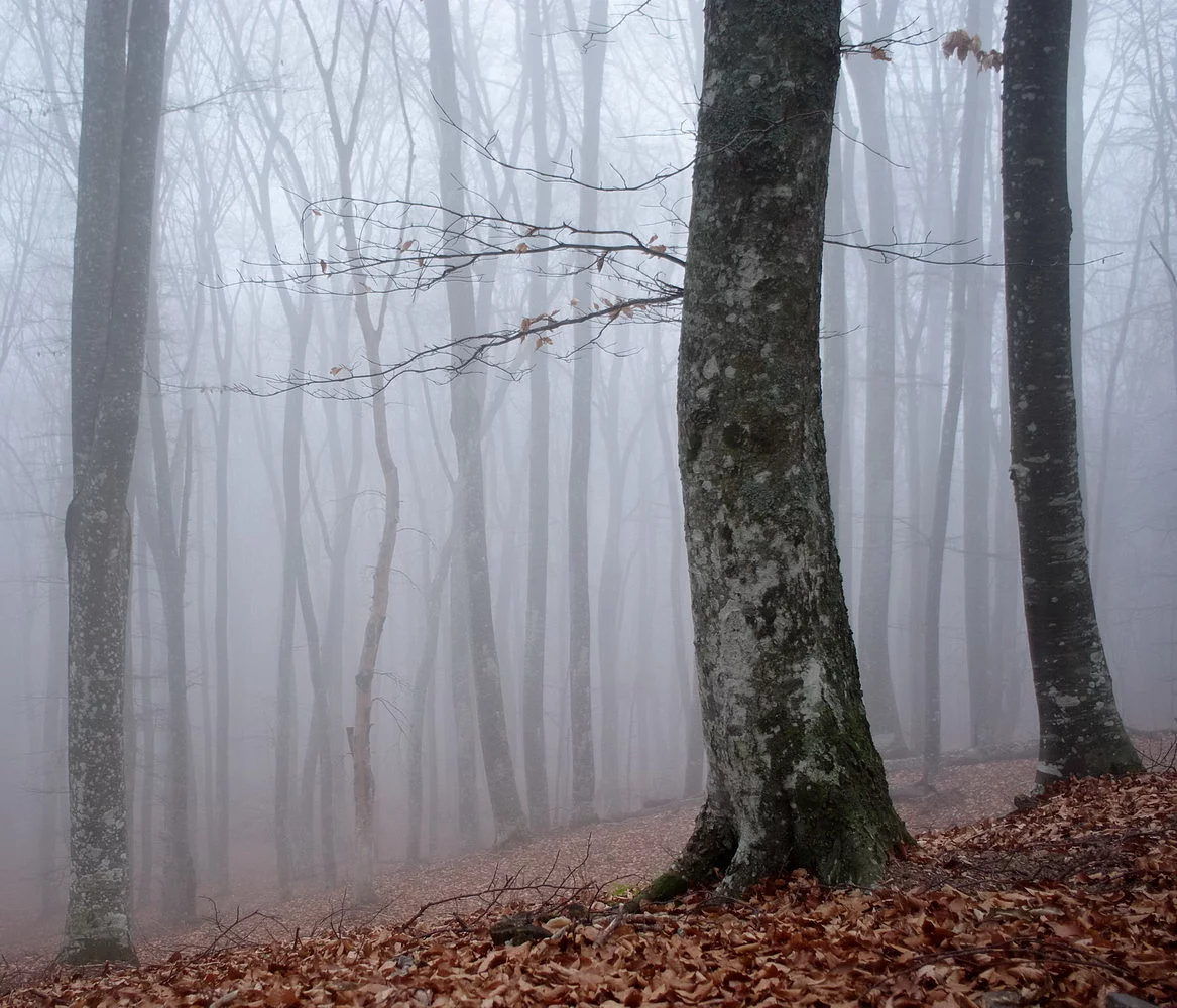 171870_original.webp