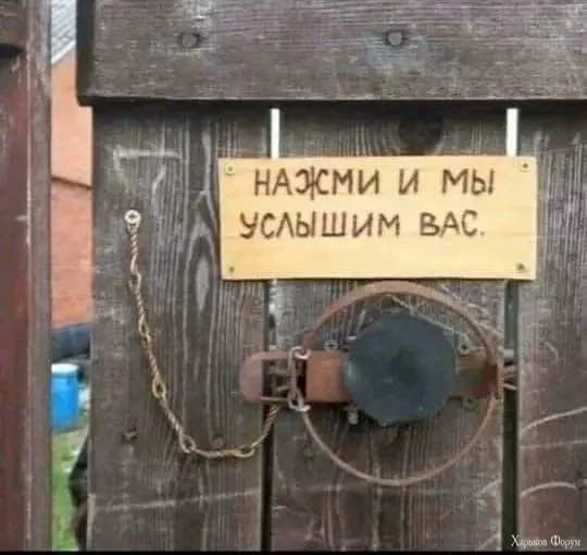 1718881699435.webp