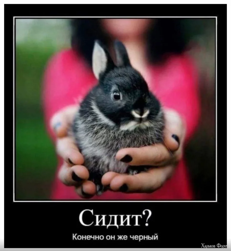 1718900241775.webp