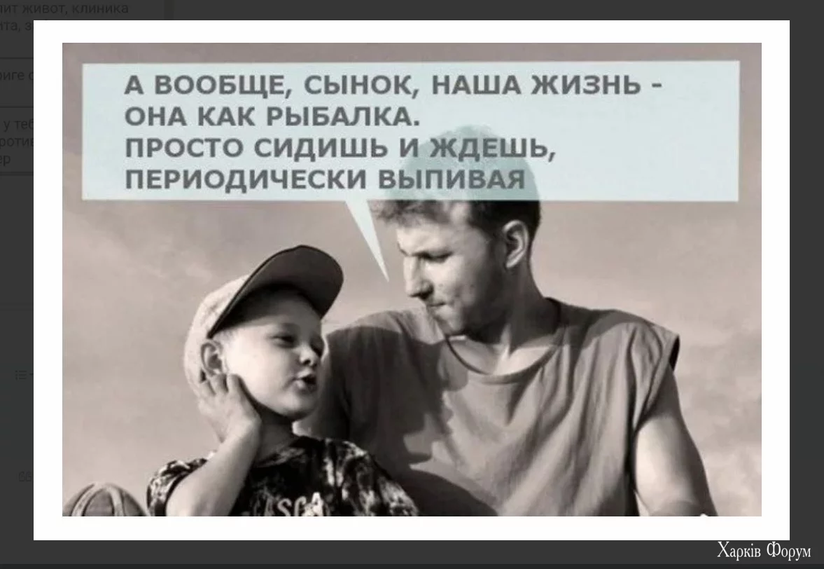 1719078705189.webp