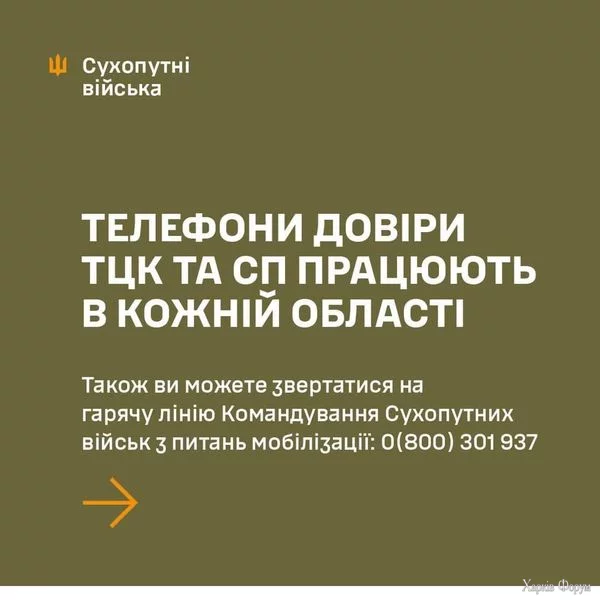 1719226214593.webp
