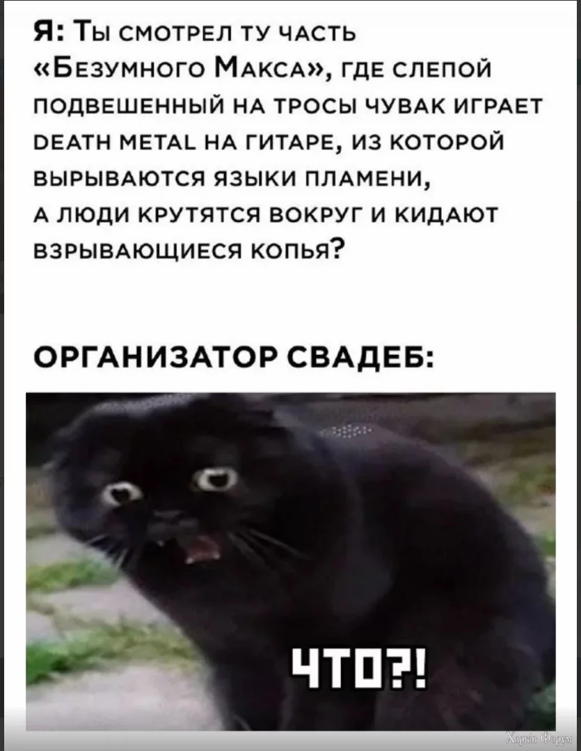 1719321899841.webp