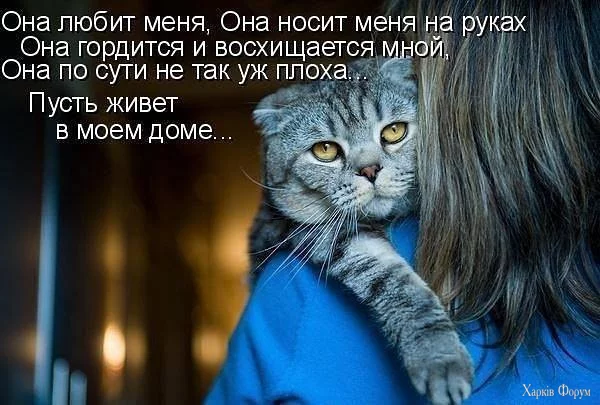 1719518303263.webp