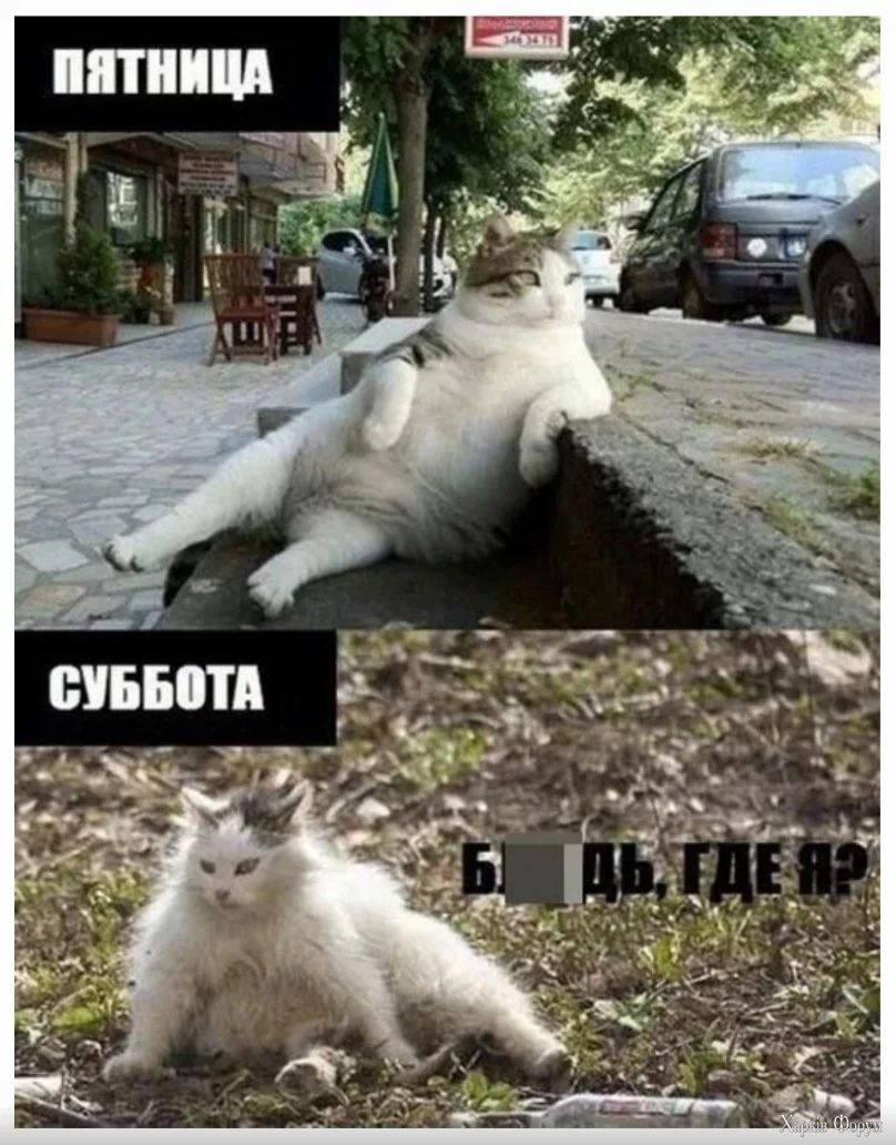 1719681540633.webp