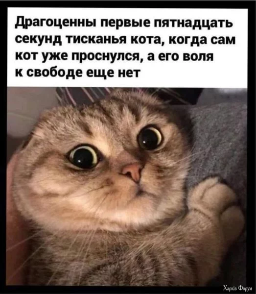 1719691625864.webp