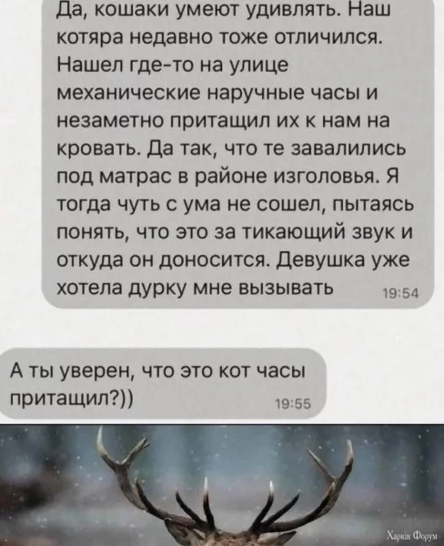 1719786882035.webp