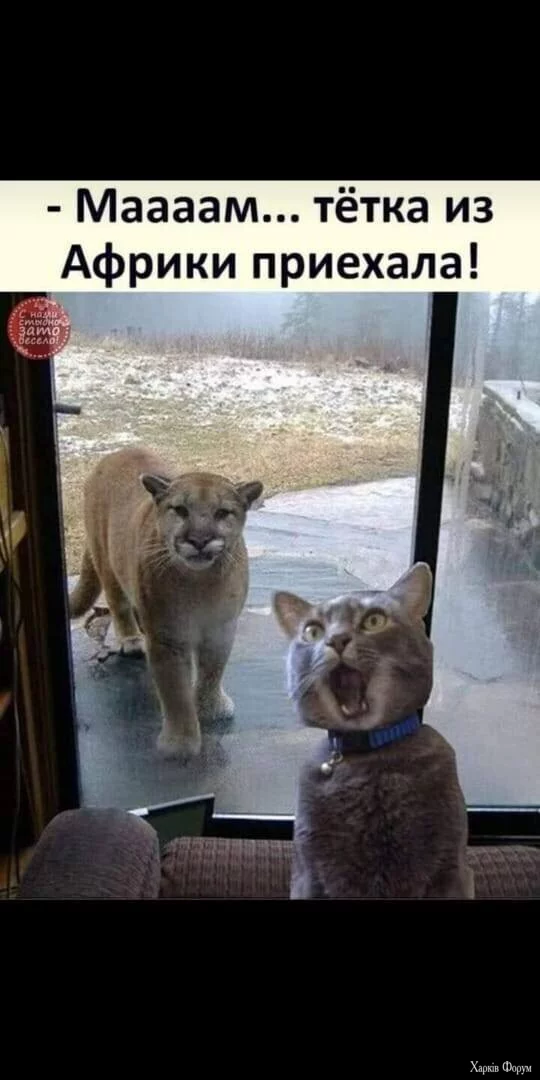 1719860565783.webp
