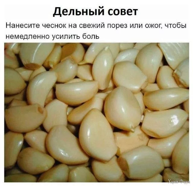 1719940415874.webp