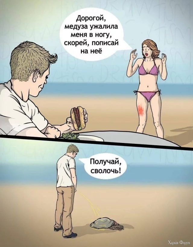 1719940580516.webp