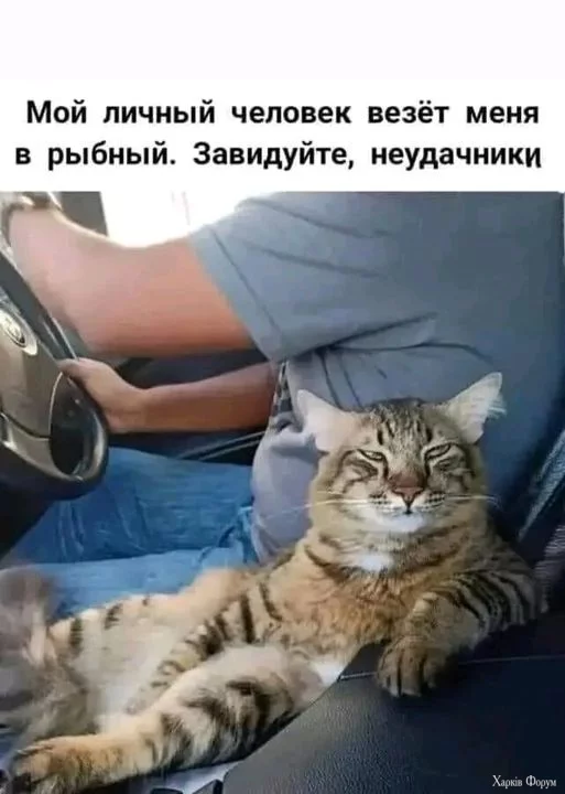 1719947410433.webp