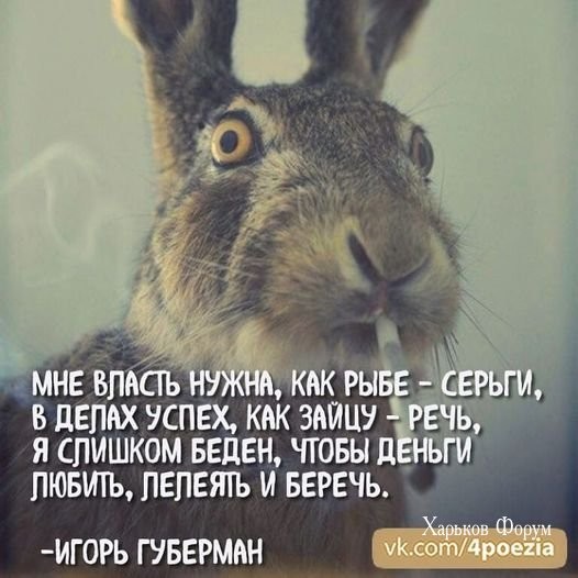 171d0b14b9cee987cf44ce.jpg