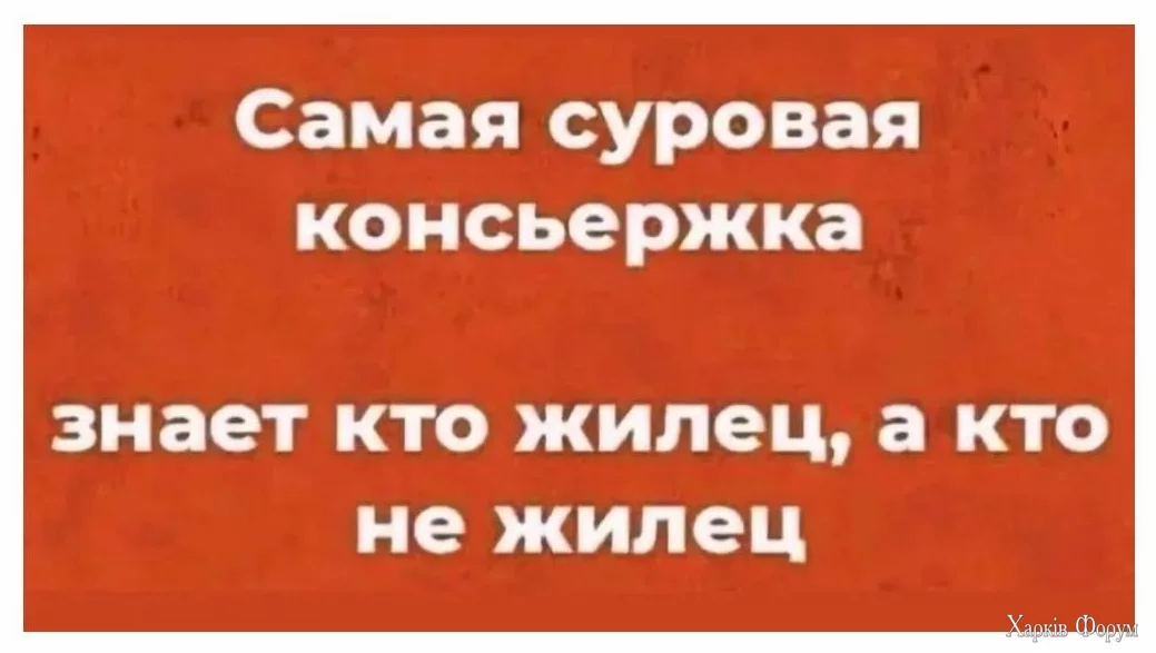 1720115422511.webp