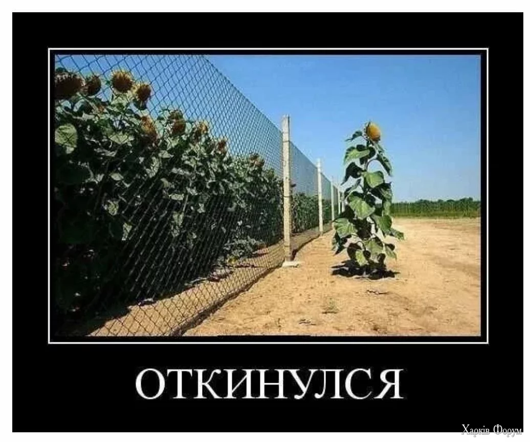 1720129086134.webp