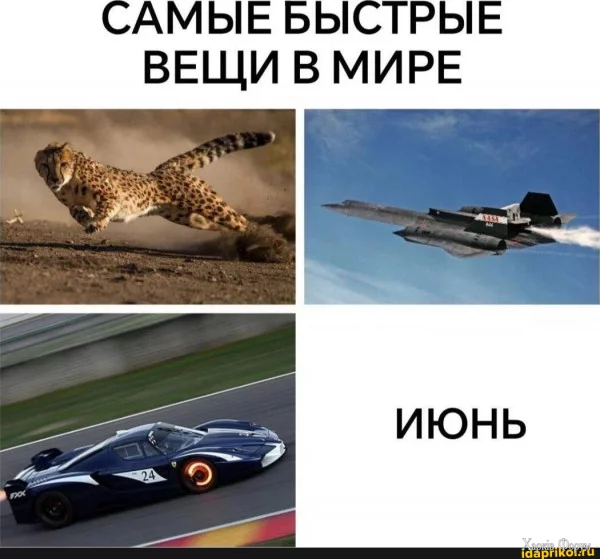 1720129779378.webp