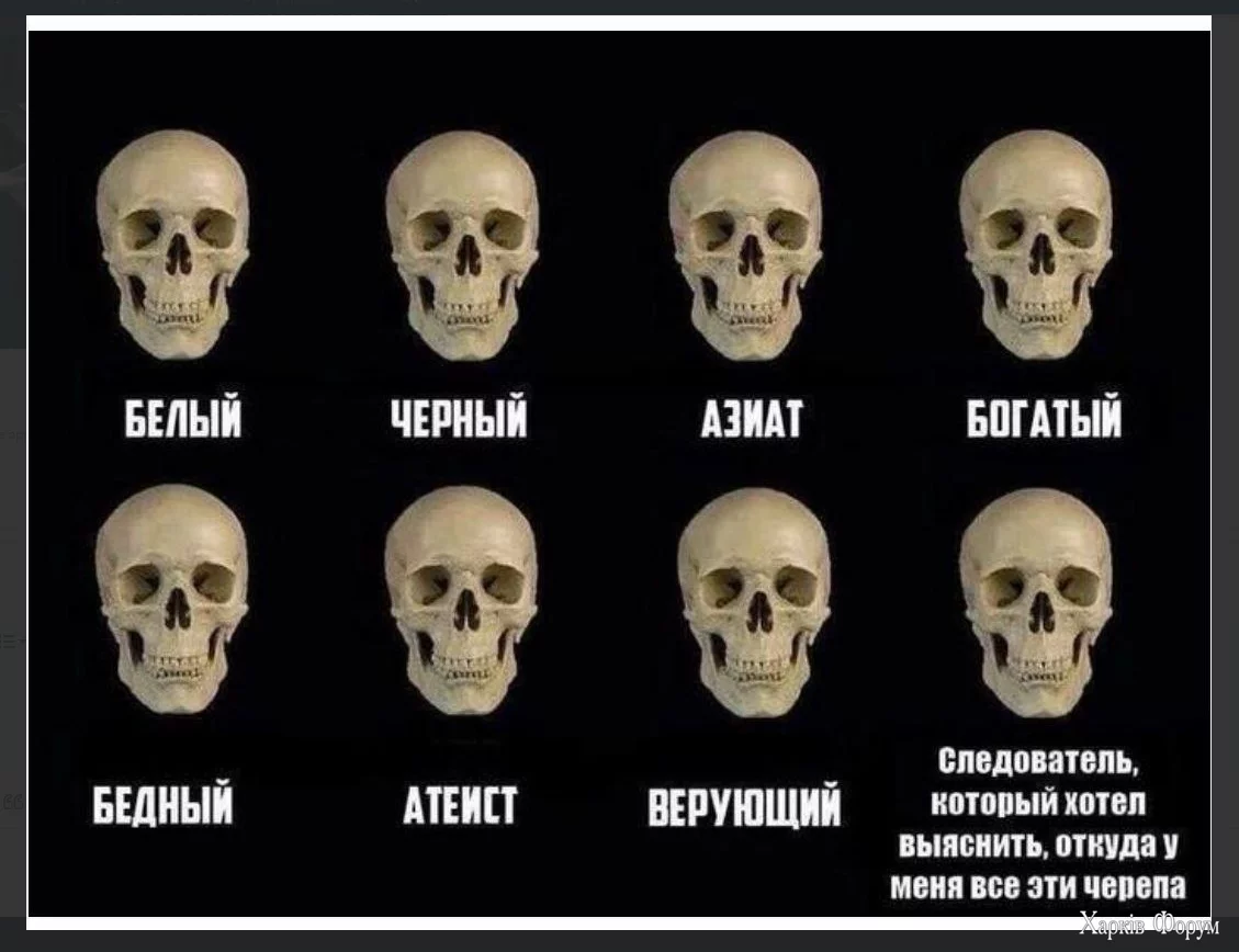 1720269900587.webp