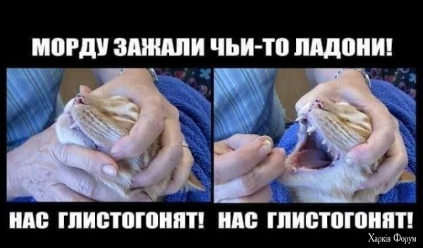 1720301624542.jpeg