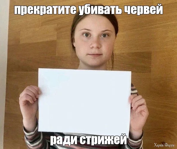 1720383126497.webp