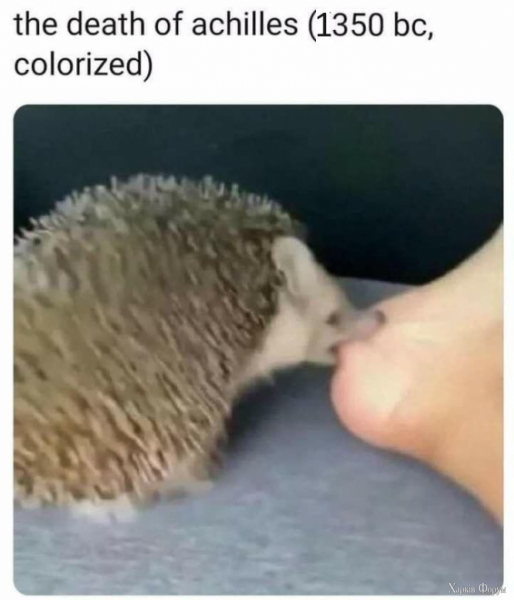 1720391313039.png