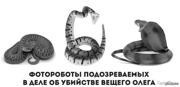 1720393069755.webp