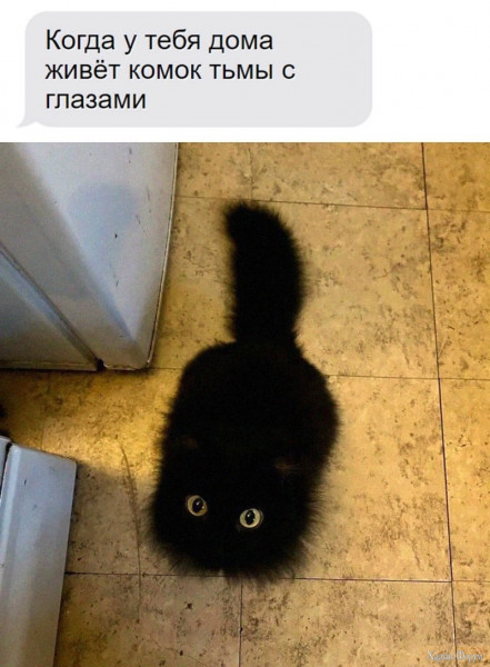 1720472743174.jpeg
