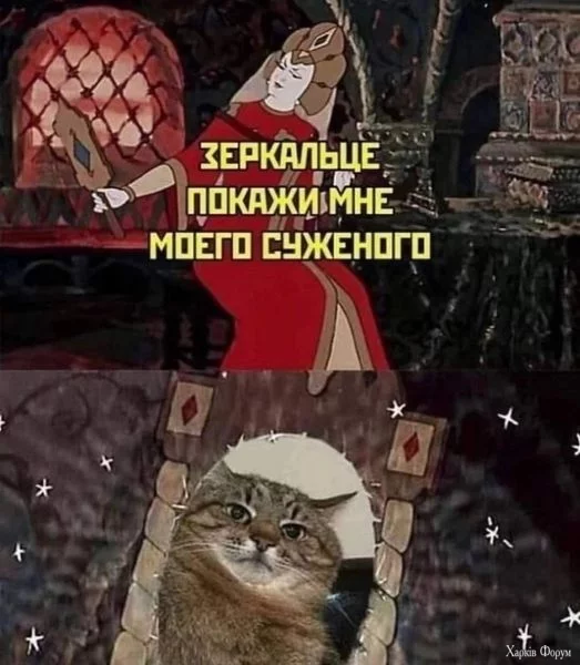 1720553942641.webp