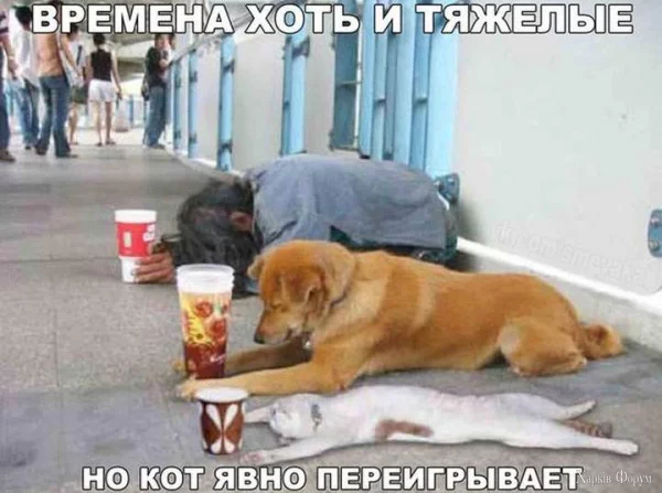 1720560306255.webp