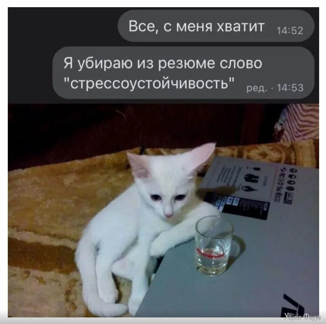 1720604412910.webp