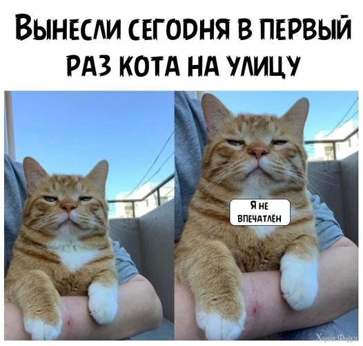 1720635292576.webp