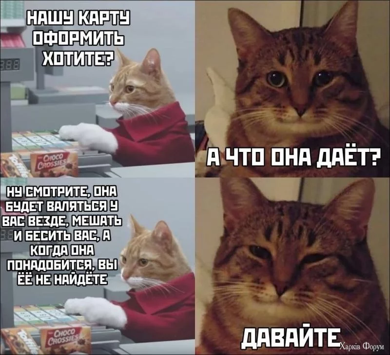 17208050423660.webp