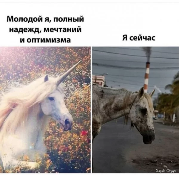 1720910211247.webp