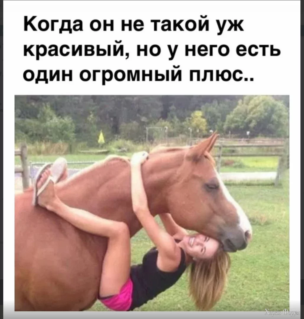1720947696940.webp