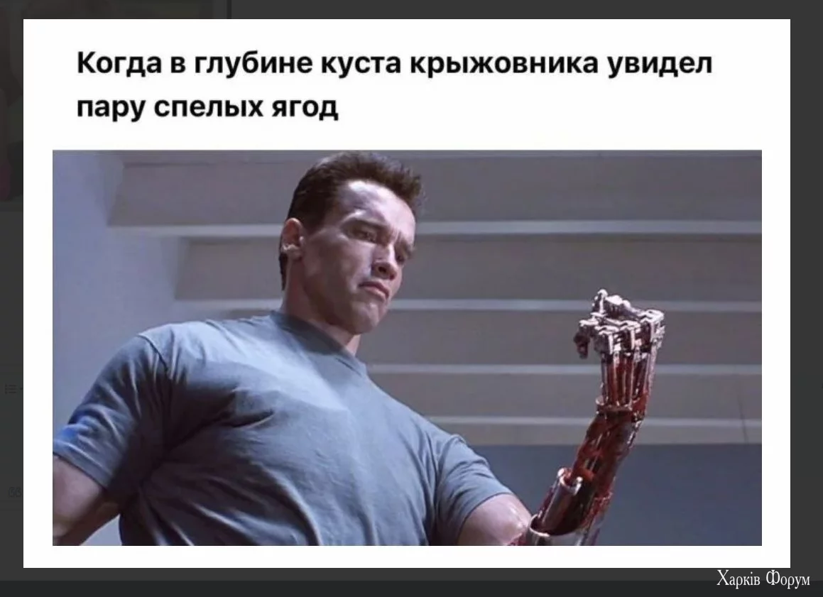 1720947722742.webp