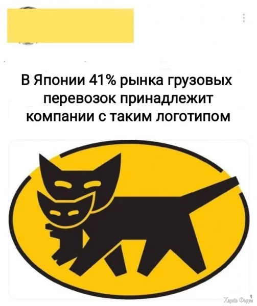 1720994339875.jpeg