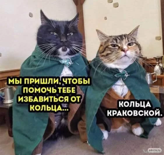 1721082046642.webp