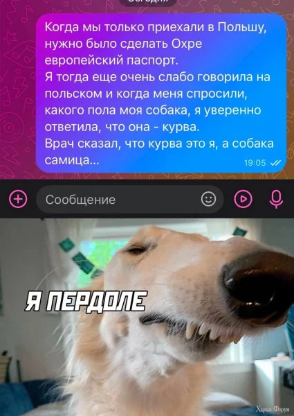 1721167633208.webp